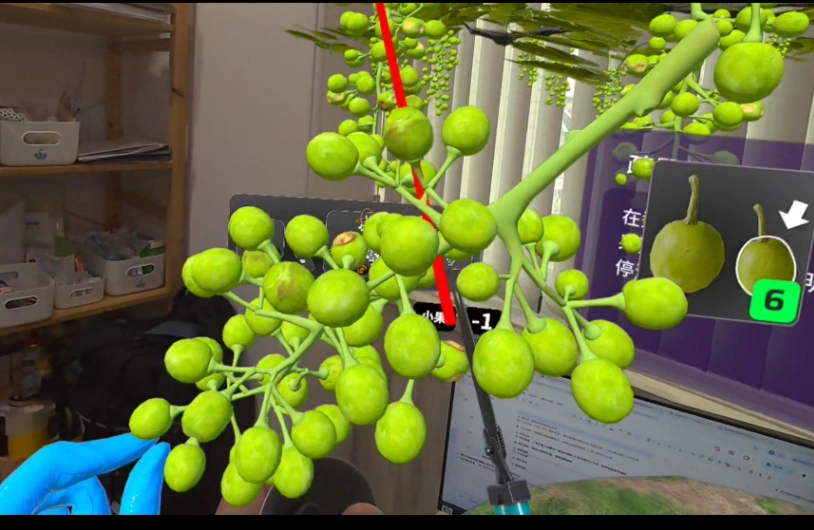 MR-Powered Vineyard Pruning Digital Training gallery 8